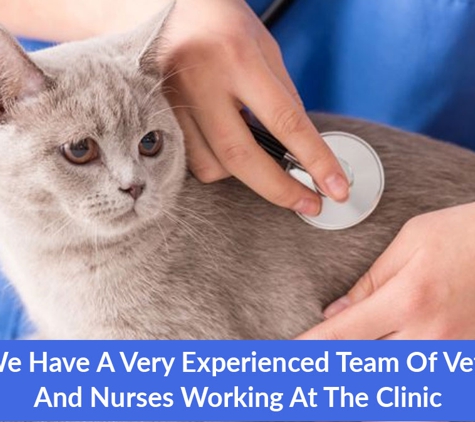 Halls Head Small Animal Clinic - Halls Head, WA. We Have A Very Experienced Team Of Vets And Nurses Working At The Clinic