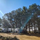In The Pines RV Park