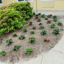 TRC Landscaping, LLC - Landscaping & Lawn Services