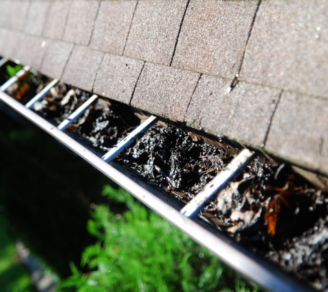 Ned Stevens Gutter Cleaning - Morrisville, NC