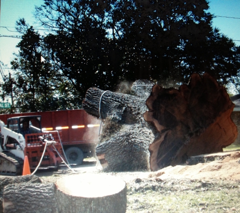 ABC Tree Service - Houma, LA