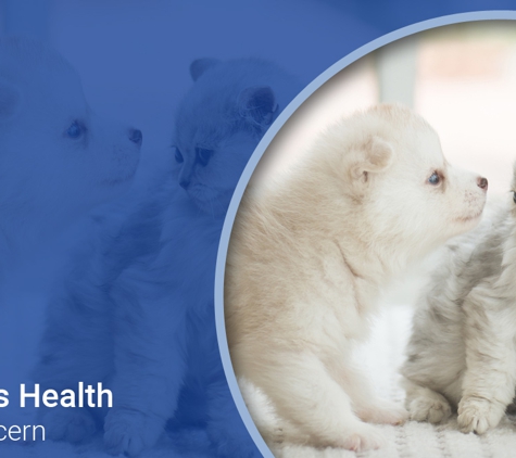 Belmont Avenue Veterinary Hospital - Belmont, WA. Your Pet’s Health Is Our Concern