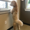 Zionsville Country Veterinary Clinic gallery