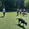 Sandy Hill Kennels gallery