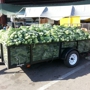 Jacksonville Farmers Market