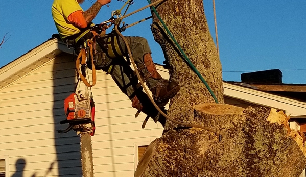 Johnson's Tree Care - Big Stone Gap, VA