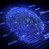 Miami Notary LLC & Live Scan Fingerprints in Miami gallery