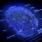 Miami Notary LLC & Live Scan Fingerprints in Miami