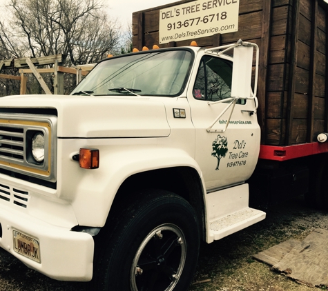 Del's Tree Service, LLC - Shawnee Mission, KS