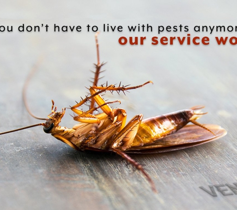 Venom Pest Control - Clermont, FL