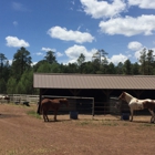 Pinetop Lakes Activity Center & Stables