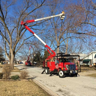 Smitty's Tree Service Inc. - Alsip, IL