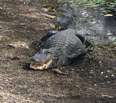 Loxahatchee National Wildlife - Boynton Beach, FL