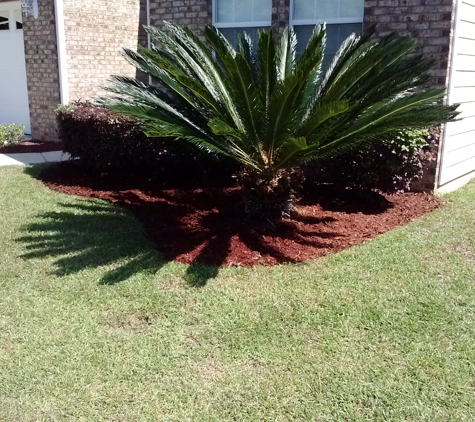 Lawn Gladiator - Tallahassee, FL