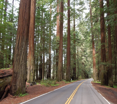 Muir Woods Park Tours - San Francisco, CA