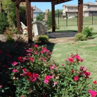 Armstrong Landscape Management, LLC