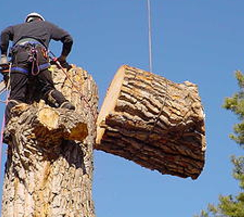 Rudy's Landscaping & Tree Service - Lake Elsinore, CA