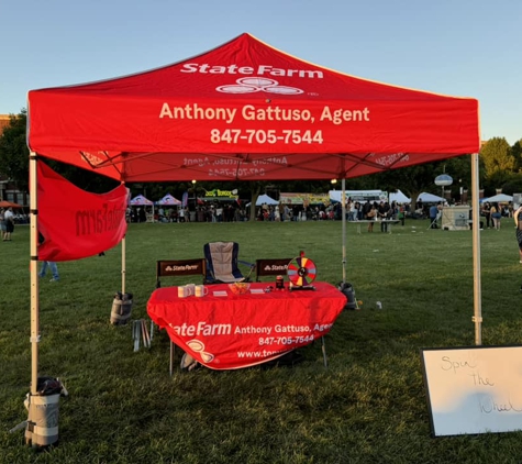 Anthony Gattuso - State Farm Insurance Agent - Barrington, IL