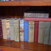 Gallery Image Number 7