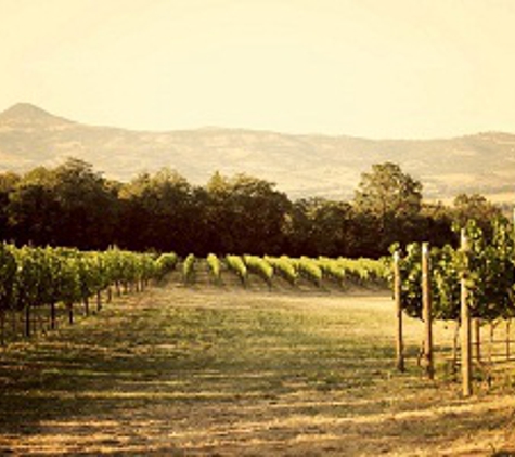 StoneRiver Vineyards - Talent, OR