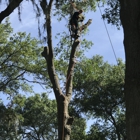 Dunkle's Tree Service