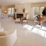 Eco Carpet Cleaning LLC - Orlando