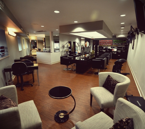 Bukés Salon & Spa - Clarendon Hills, IL. Bukés Color Area