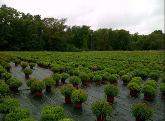 Zielke's Greenhouses - Williamstown, NJ