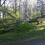Greater Pittsburgh Tree Service