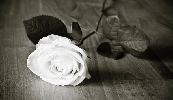 Mason Park Funerals - Wangaratta, VIC. Mason Park Funerals is the ideal venue to celebrate the life of your loved one.