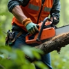 Mory's Tree Service and Landscaping gallery
