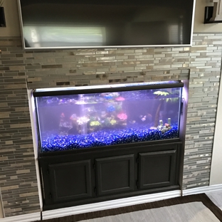 My Aquarium Guy, LLC - Allen, TX