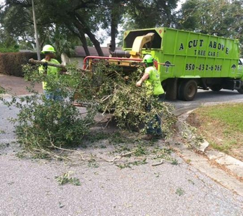 A Cut Above Tree Care, Inc.