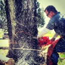 Tidwell's Tree Service - Farming Service