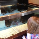Red Lobster - Seafood Restaurants