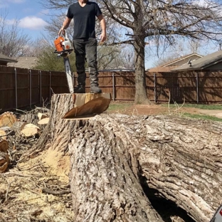 Out On A Limb Tree Service - Norman, OK