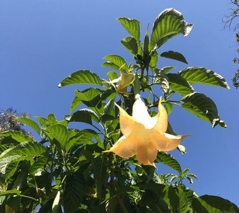 San Diego Botanic Garden - Encinitas, CA