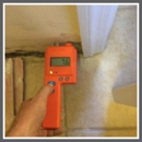 Tallahassee Mold Pros - Inspection Service