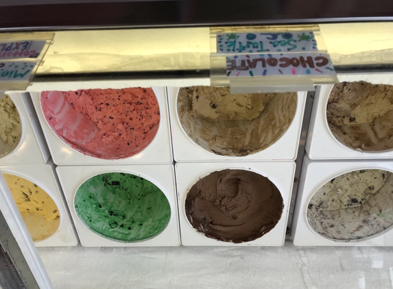 Coconuts Ice Cream - Cartersville, GA