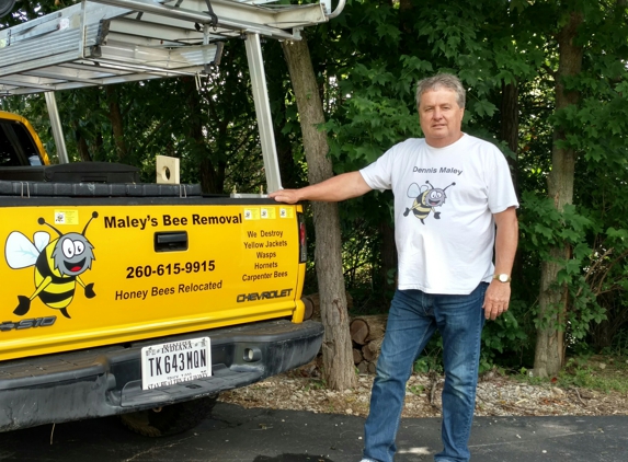 Maley's Bee Removal - Roanoke, IN