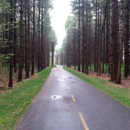 WalnutWoods Metro Park - Playgrounds