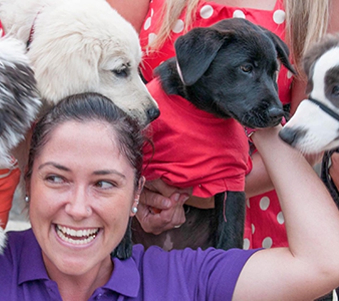 Warners Bay Vet - Warners Bay, NSW