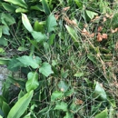 Merv's Mulch and Landscaping - Landscaping Equipment & Supplies