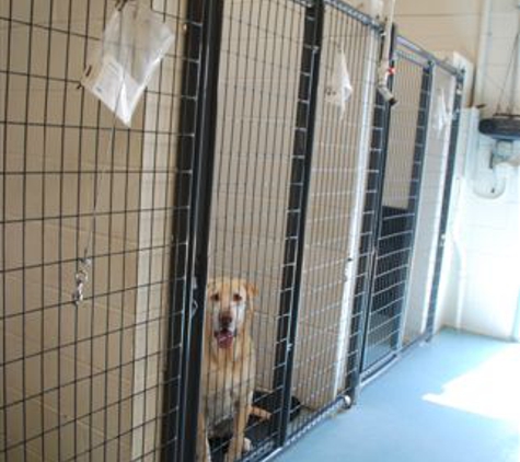 Southern Star Ranch Boarding Kennel & K9 Training Center - Florence, TX