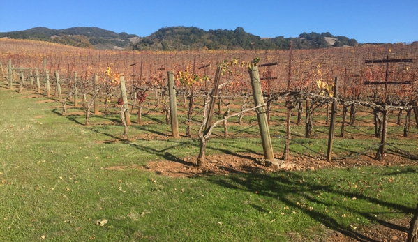 Kenwood Vineyards - Kenwood, CA