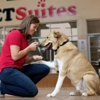 PetSuites gallery