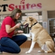 PetSuites