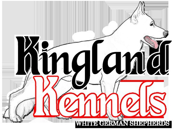 Kingland Kennels - Miramar, FL