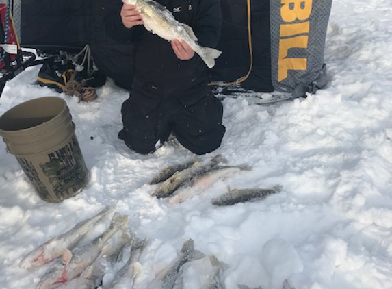 Walleye King - Waterford, MI