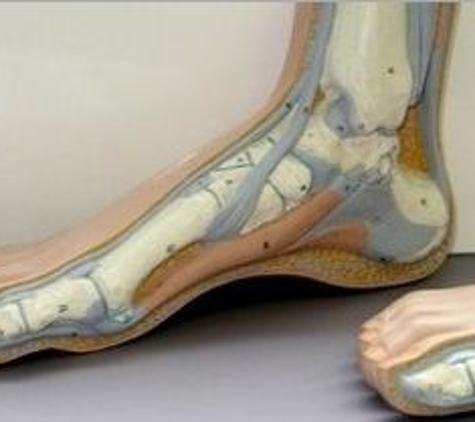 Ganley Podiatry Associates PC - Norristown, PA